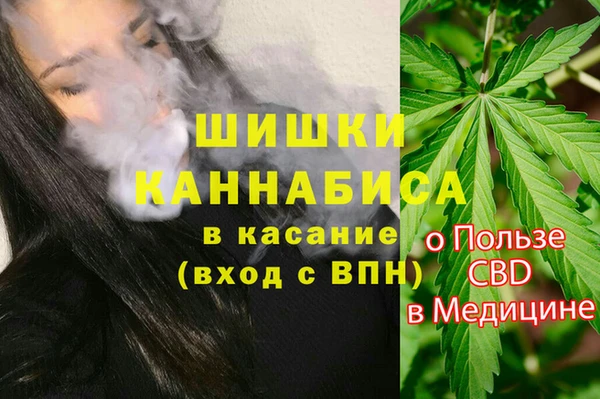 ГАЛЛЮЦИНОГЕННЫЕ ГРИБЫ Няндома