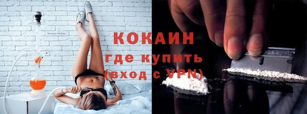 прущие грибы Нягань