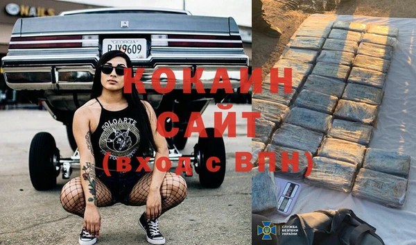 мяу мяу мука Осташков