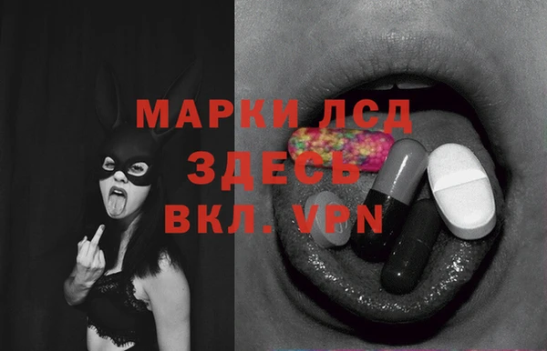 ГАЛЛЮЦИНОГЕННЫЕ ГРИБЫ Няндома