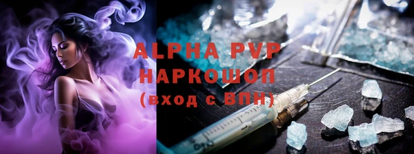 a pvp Новозыбков