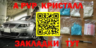 крисы Камышлов