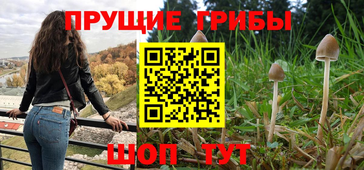МДМА  Бошки Шишки  Меф МЯУ МЯУ   Вход с VPN  ГАШ  Карпинск  Гашиш 