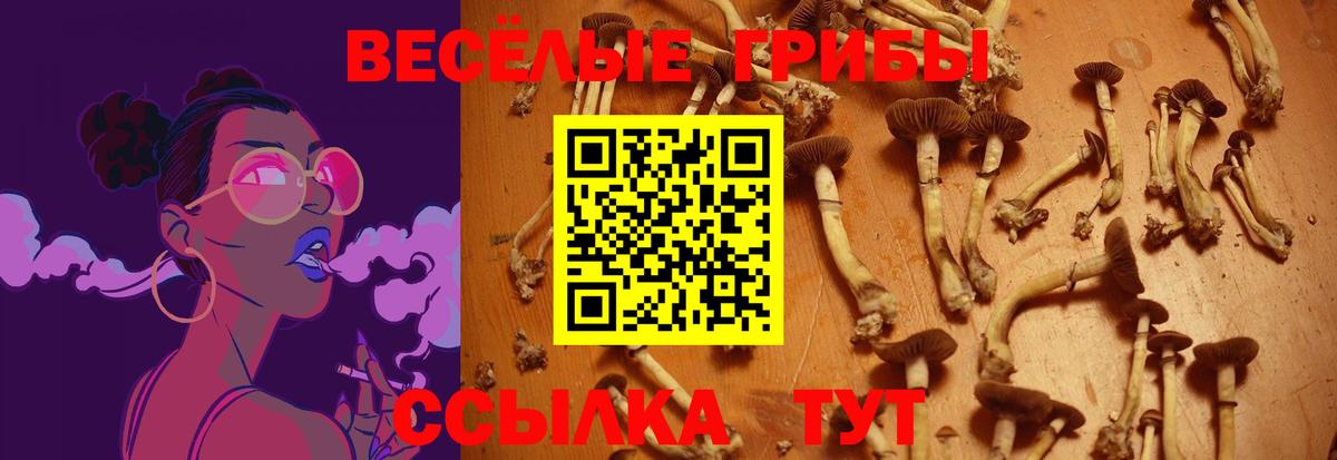 МЕФ  Карпинск  Каннабис  Cocaine  A PVP  MDMA  Вход с VPN  Плюхи 