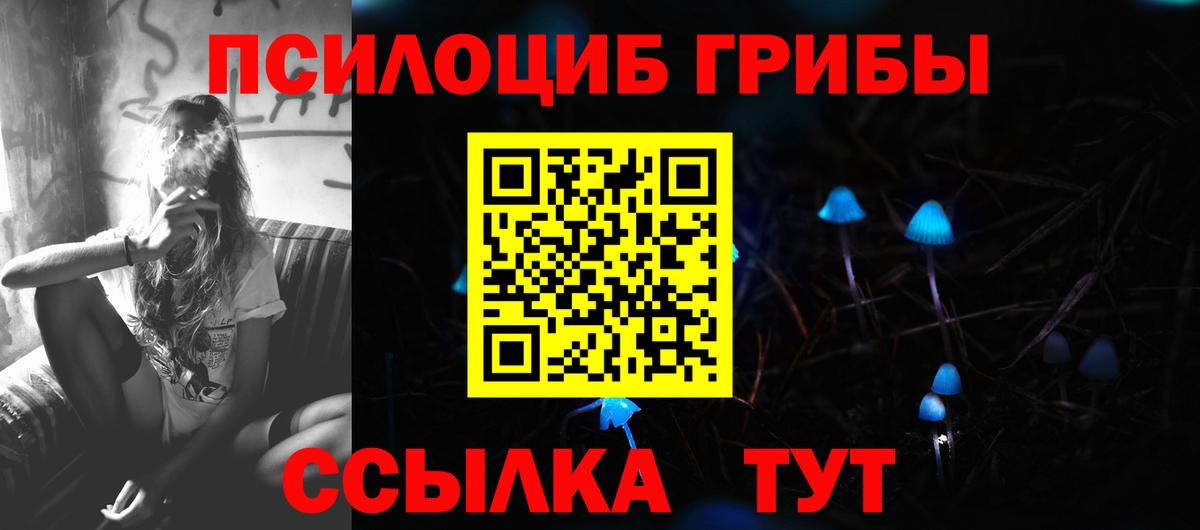 Псилоцибиновые грибы Psilocybine cubensis Карпинск
